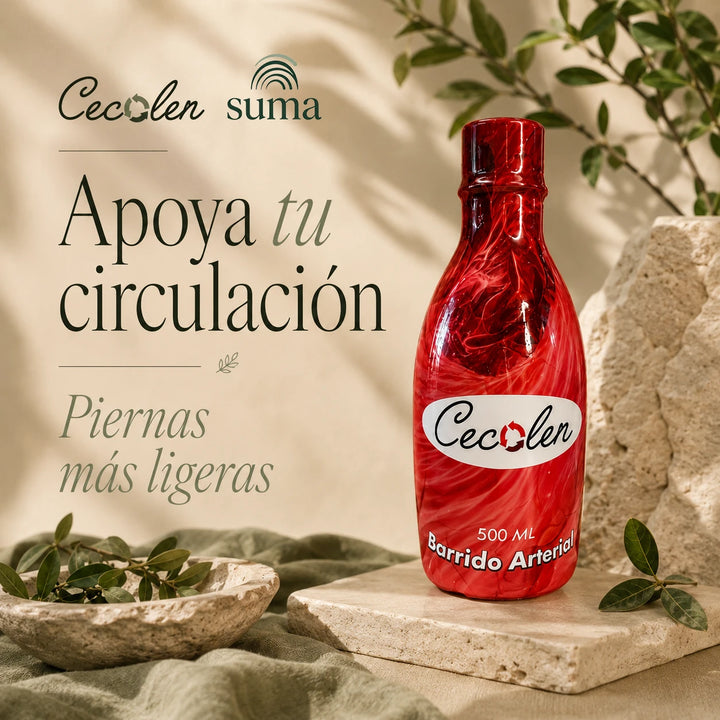 Cecolen | Circulación