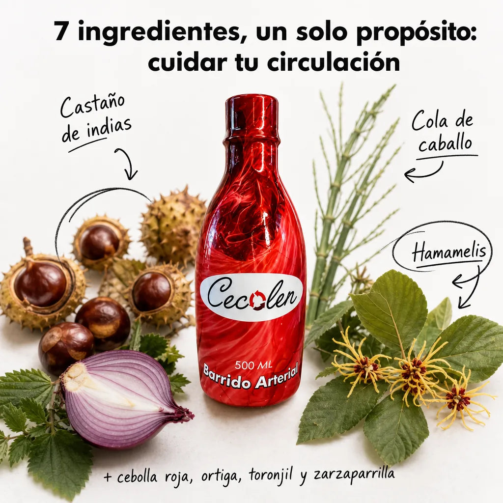 Cecolen — 7 botánicos para cuidar tu circulación
